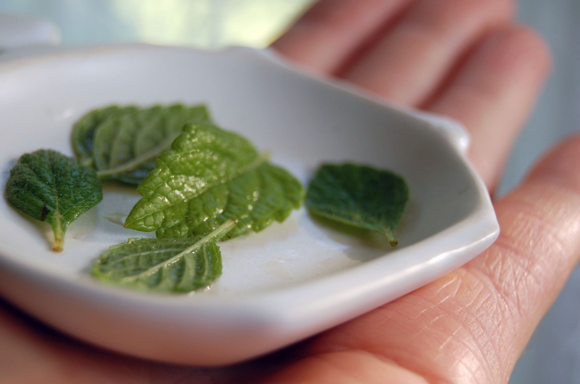 mint leaf major basil substitutes