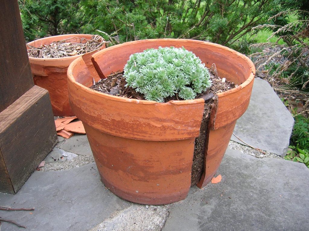 cracked flower pot