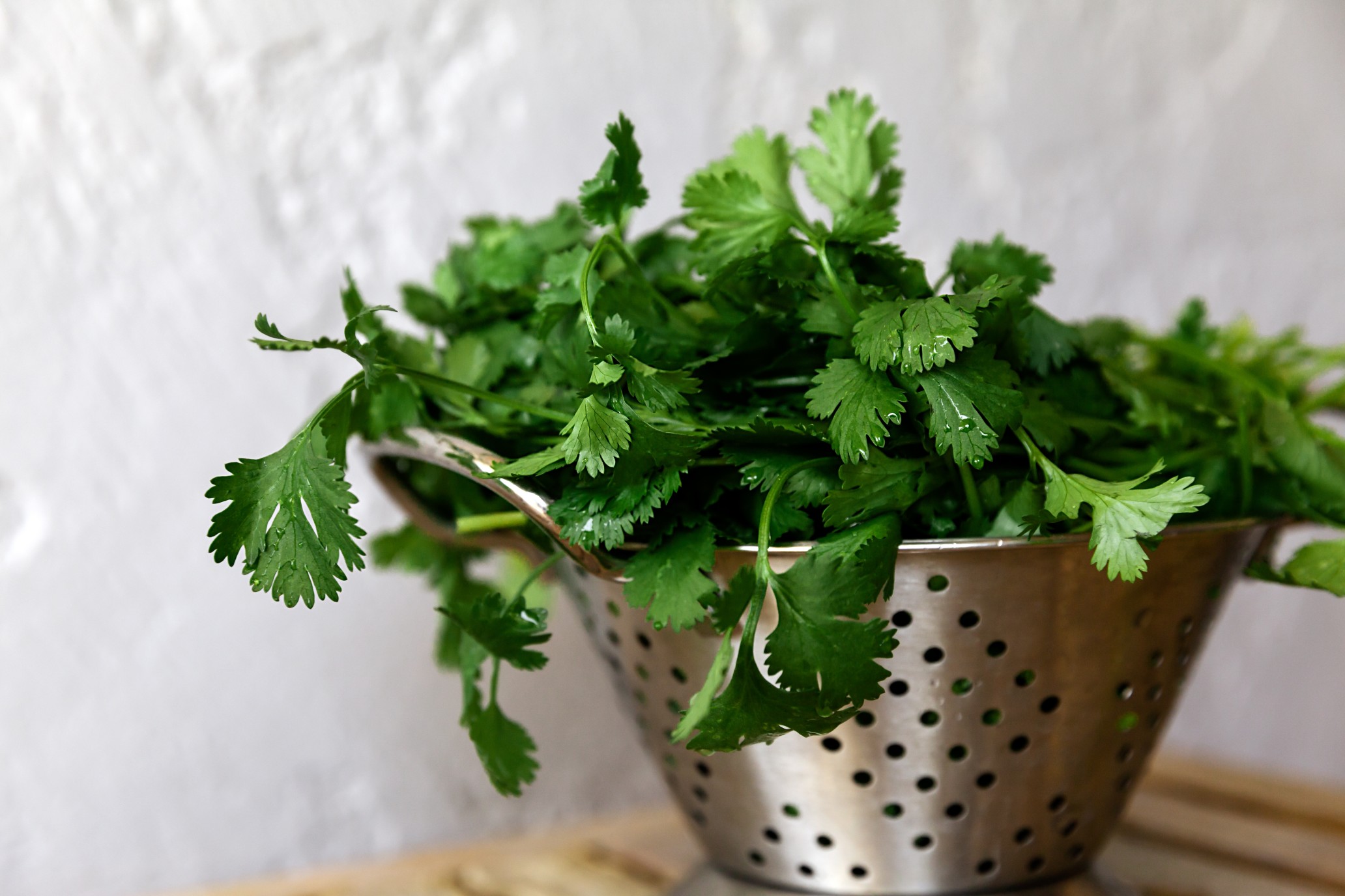 Are Oregano And Cilantro The Same Thing?