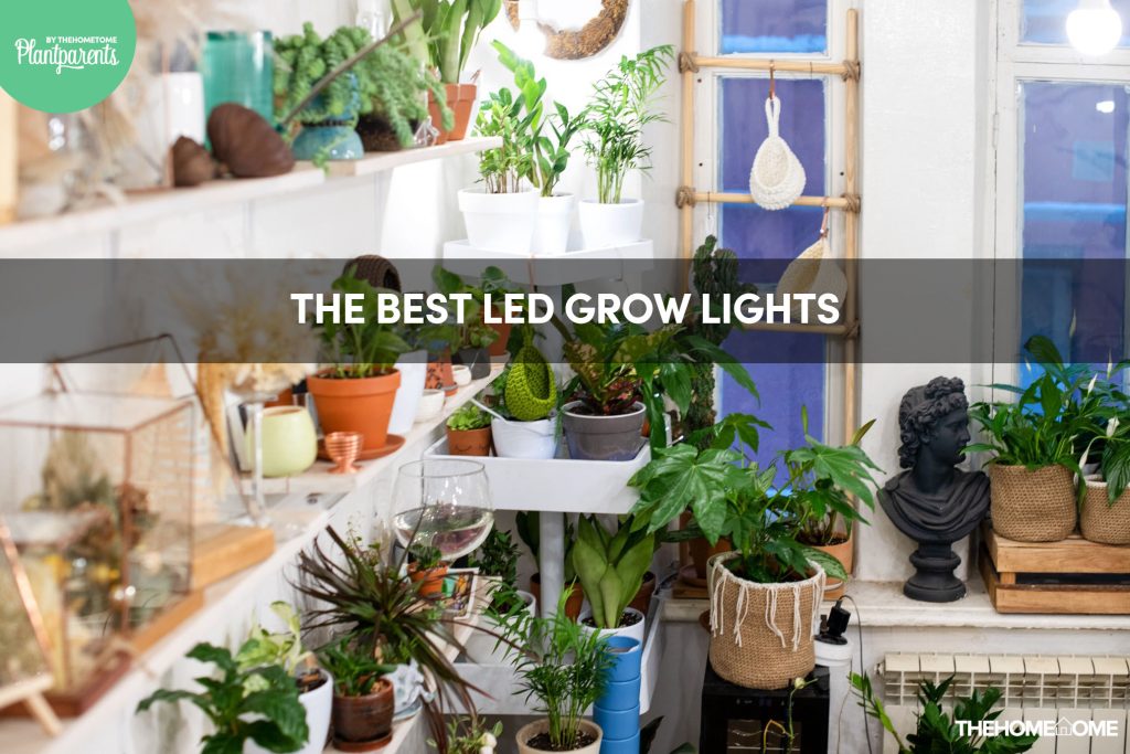 plantparents by the hometome best led grow lights for houseplants