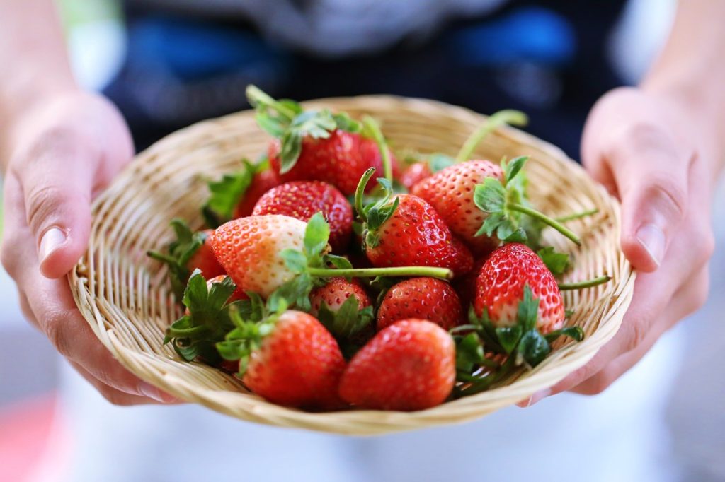 Can Strawberries And Tomatoes Grow Together?