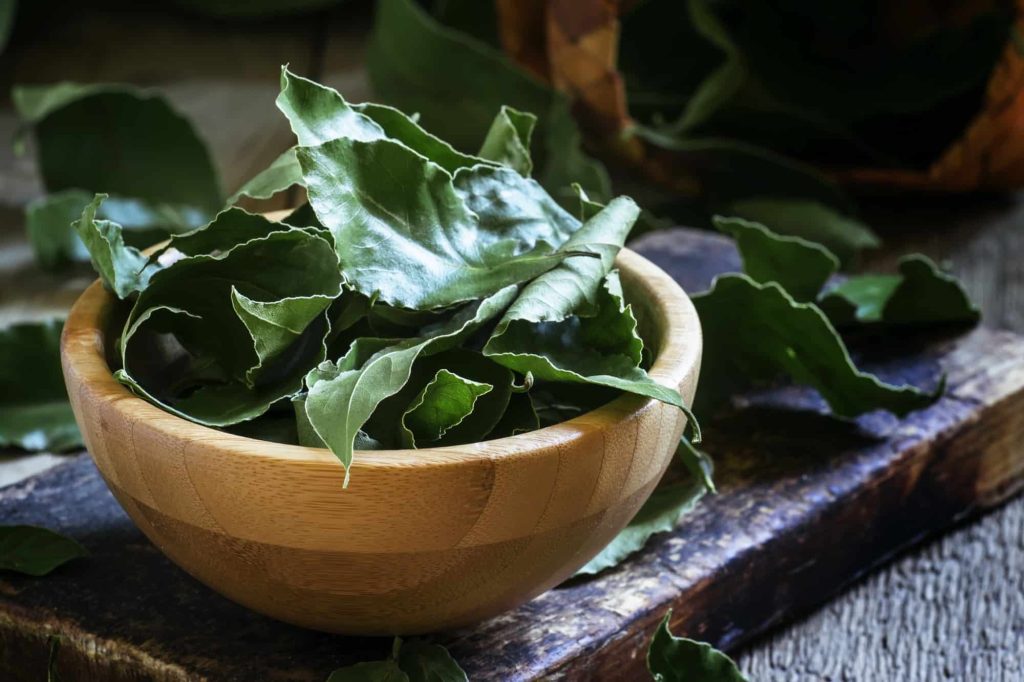 Common Bay Leaf Alternatives to Consider
