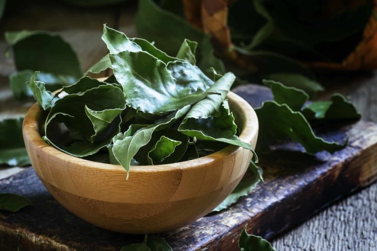 Common Bay Leaf Alternatives to Consider