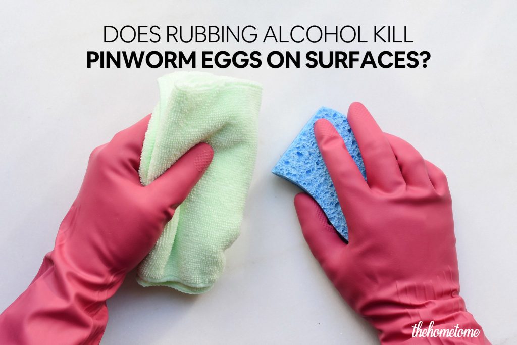 Does Rubbing Alcohol Kill Pinworm Eggs On Surfaces