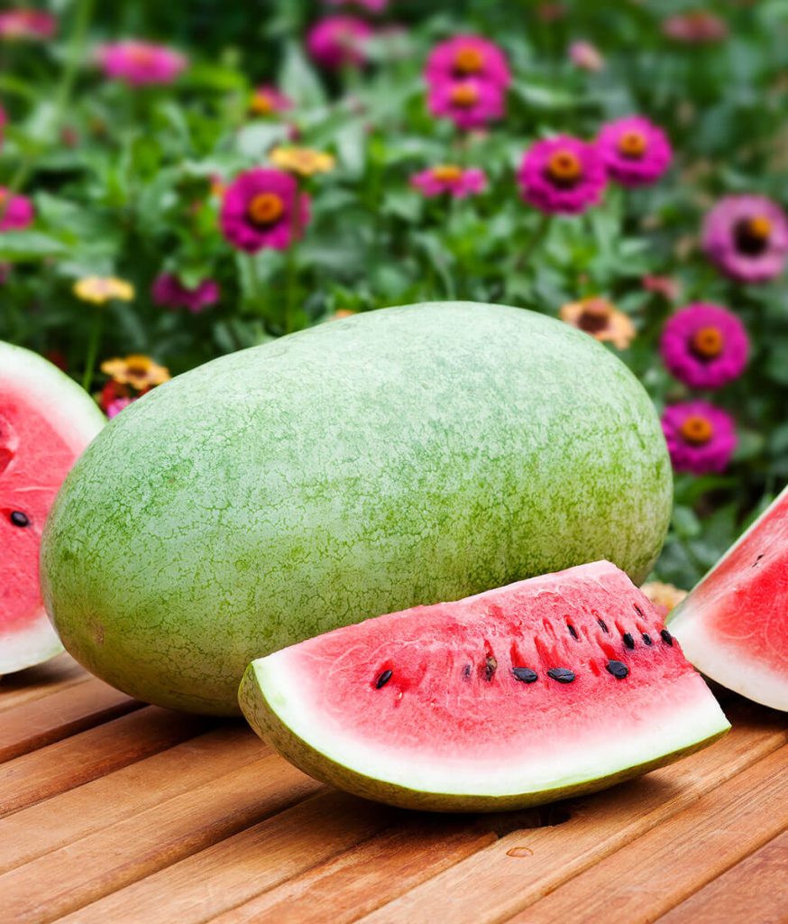 Picnic Watermelon 874x1024 