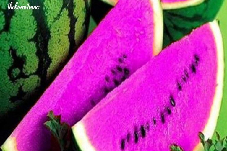 Purple Watermelons Details