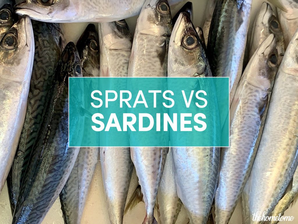 Sprats vs sardines