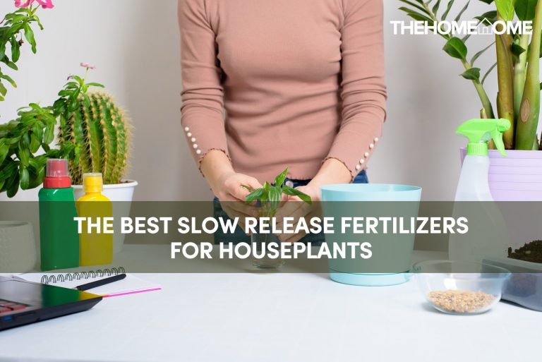 The best Slow release fertilizer