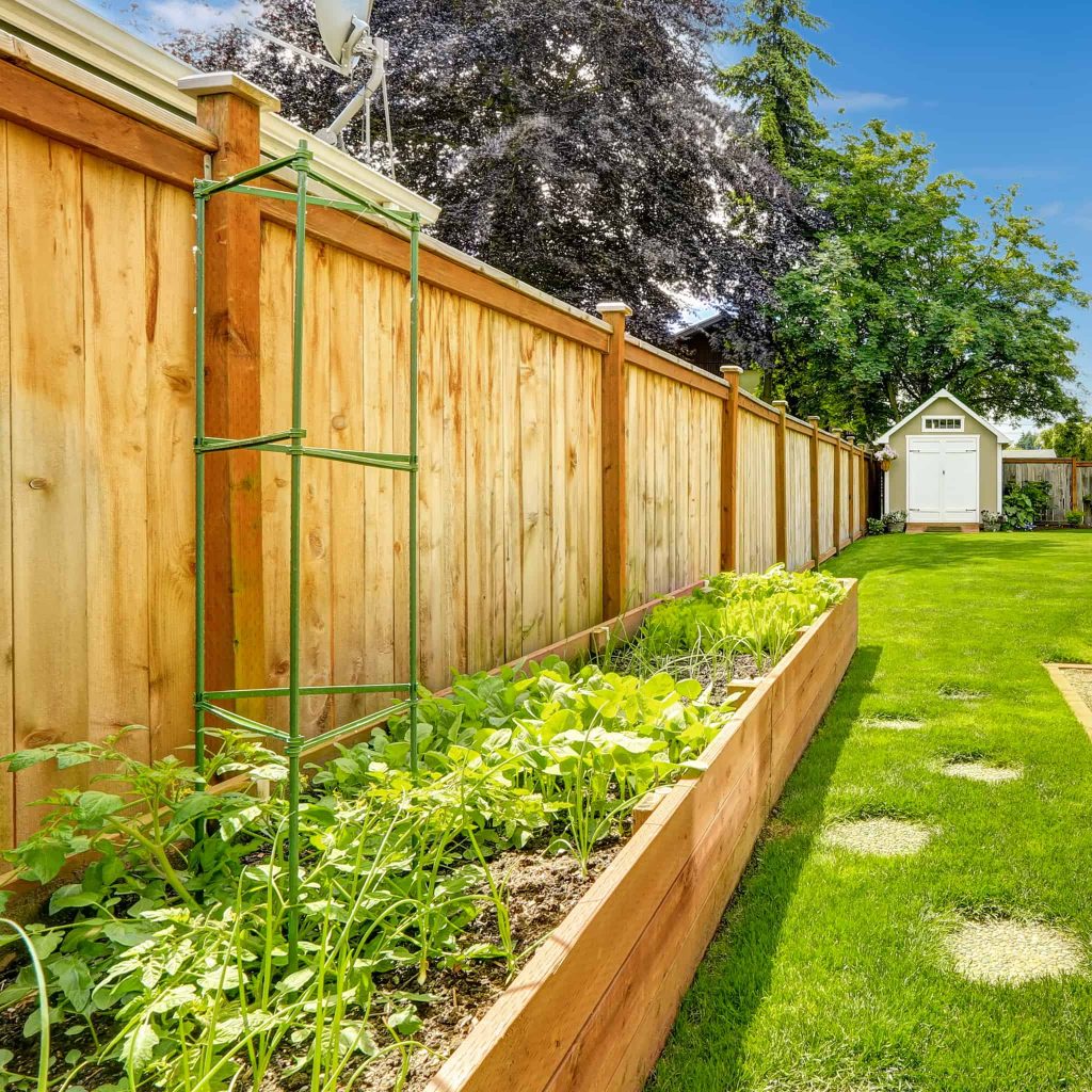  Cedar Fence Panels