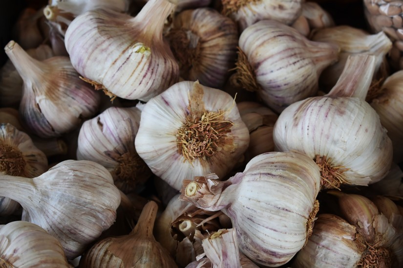 Garlic Companion Plants For Strawberries