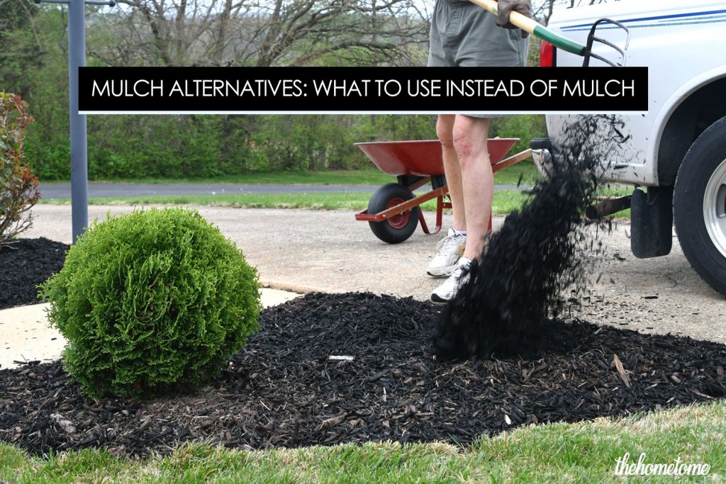 Mulch Alternatives