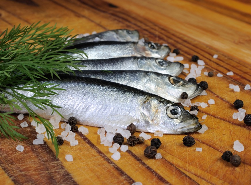 Sprats vs sardines. Healthier option