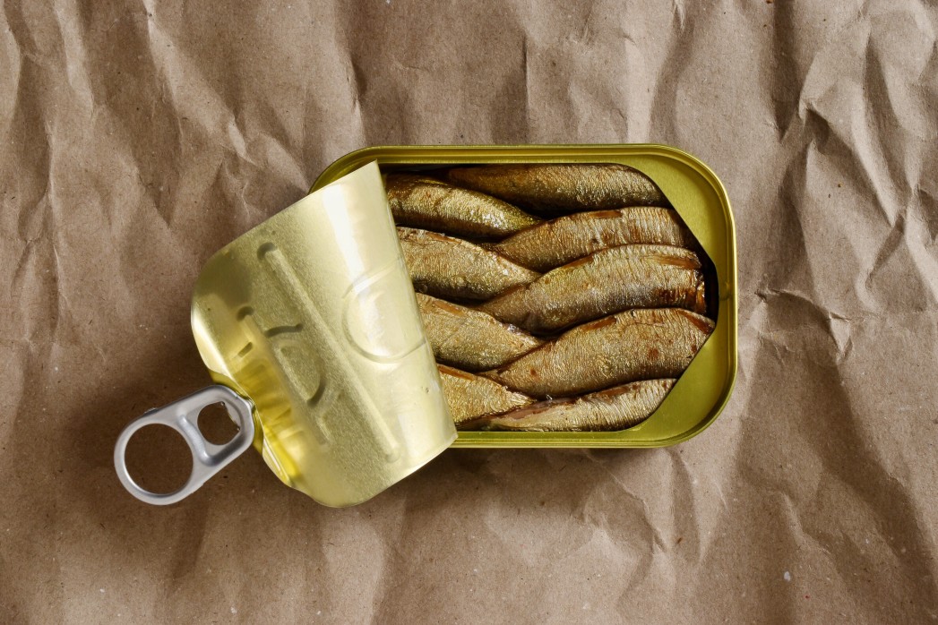 Sprats vs Sardines