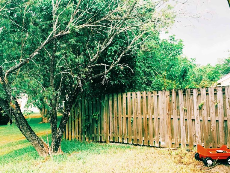 Cheap Fence Ideas For Backyard Privacy