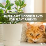 40 Pet Safe Indoor Plants For Plant Parents