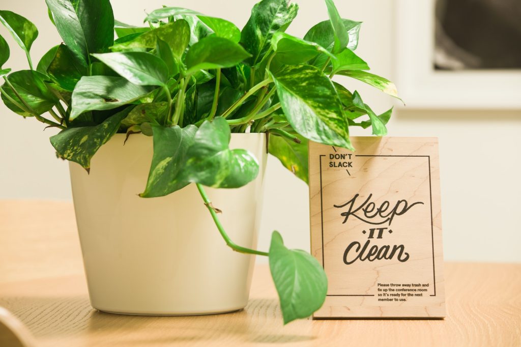 A pothos houseplant (devil’s ivy) and a wooden sign writing “don’t slack