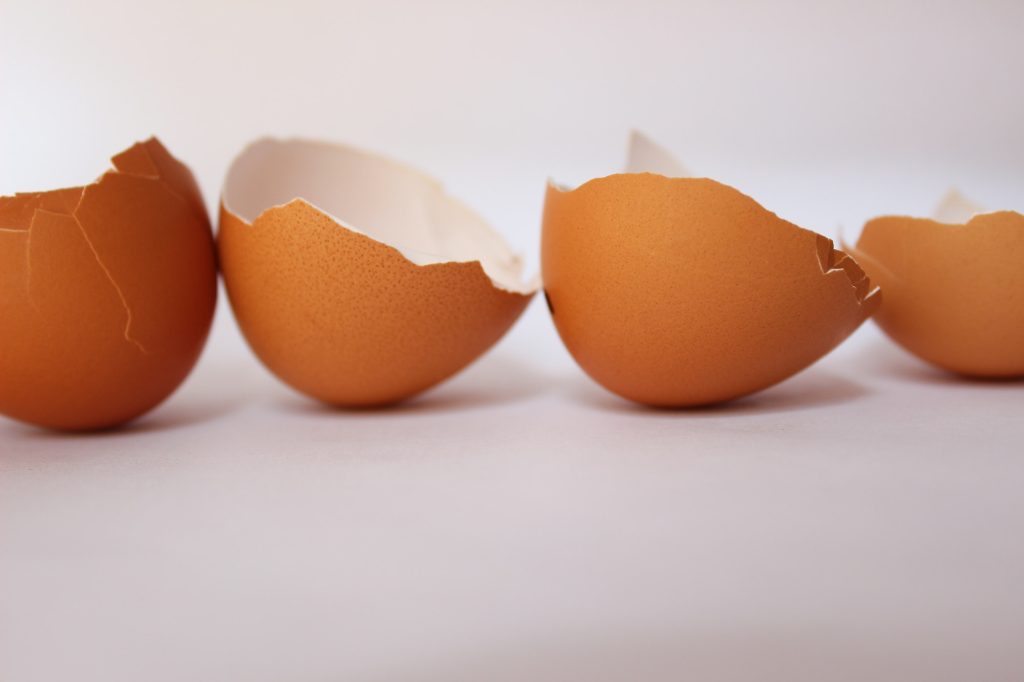 Can Dogs Eat Eggshells?