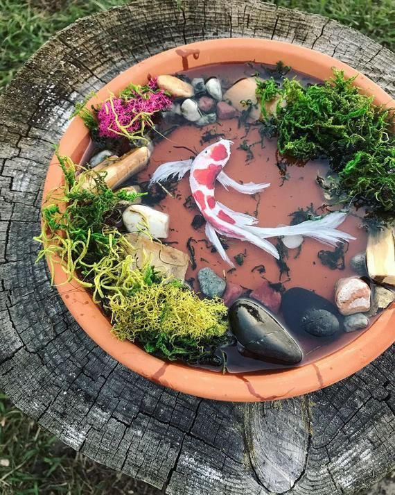 Faux Mini Koi Pond