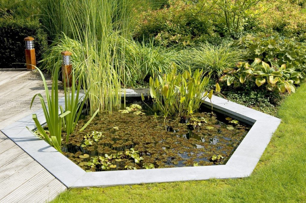 Hexagonal Pond Design