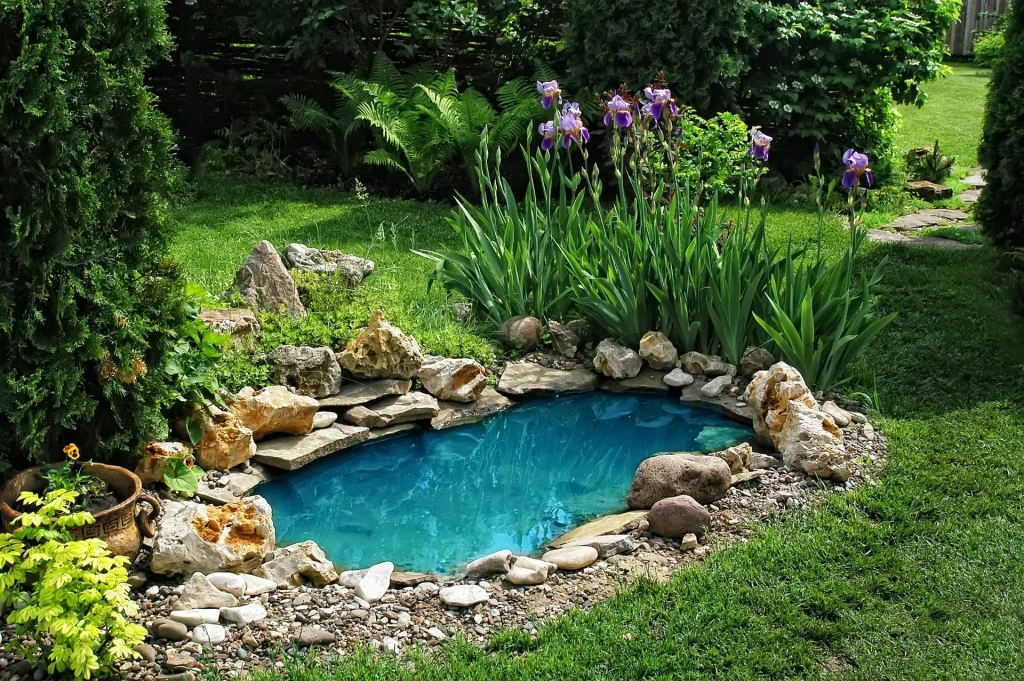 Petite Backyard Pond Design
