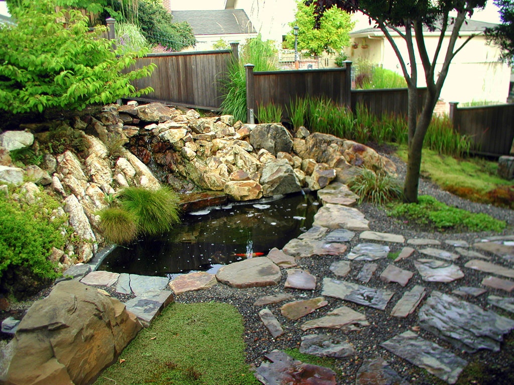 Japanese Koi Fish Pond Design