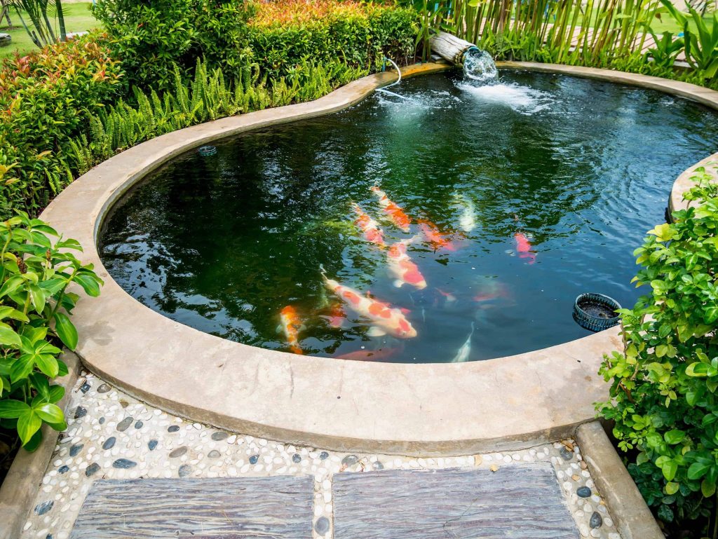 Traditional WAterfall Pond