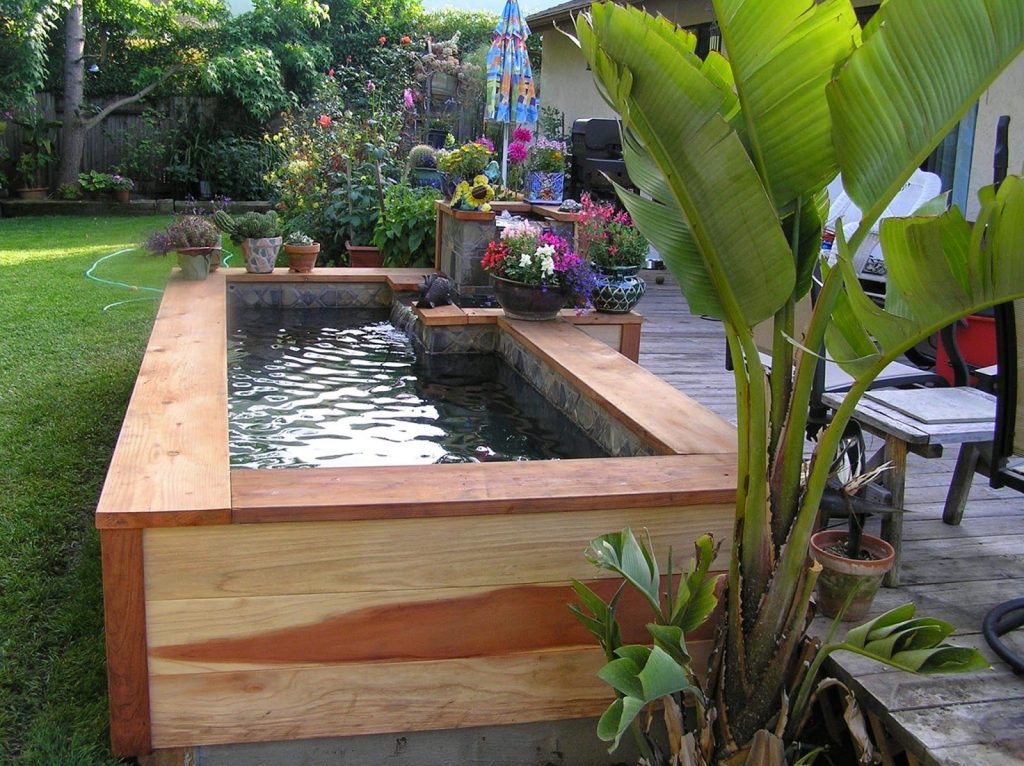 Minimalist Fish Pond Design