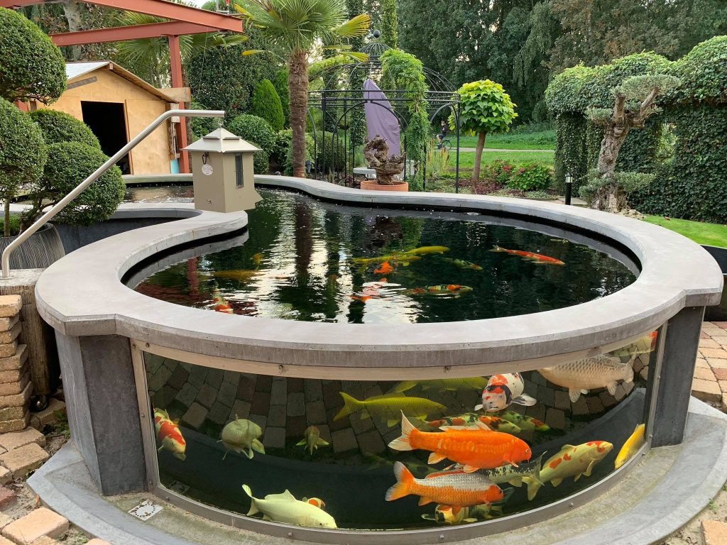 Raised Backyard Pond Idea