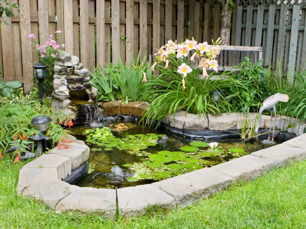 Small natural backyard pond