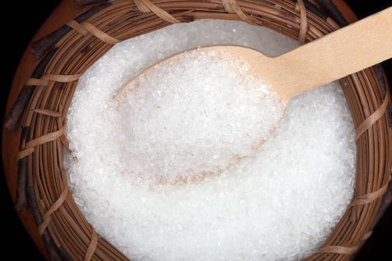 Does Epsom Salt Kill Fungus Gnats?