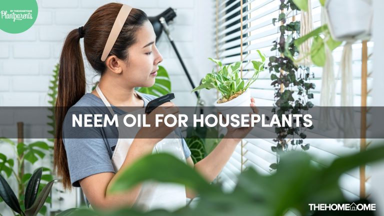 Neem Oil For Houseplants