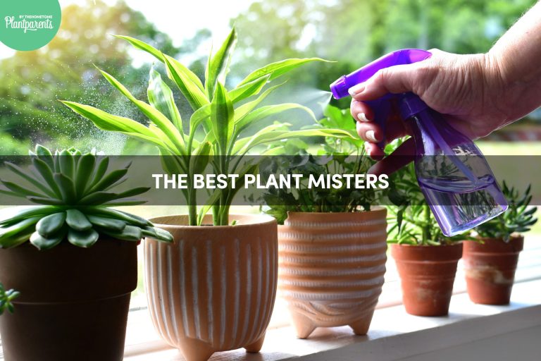 The Best Spray Bottles For Plant Parents