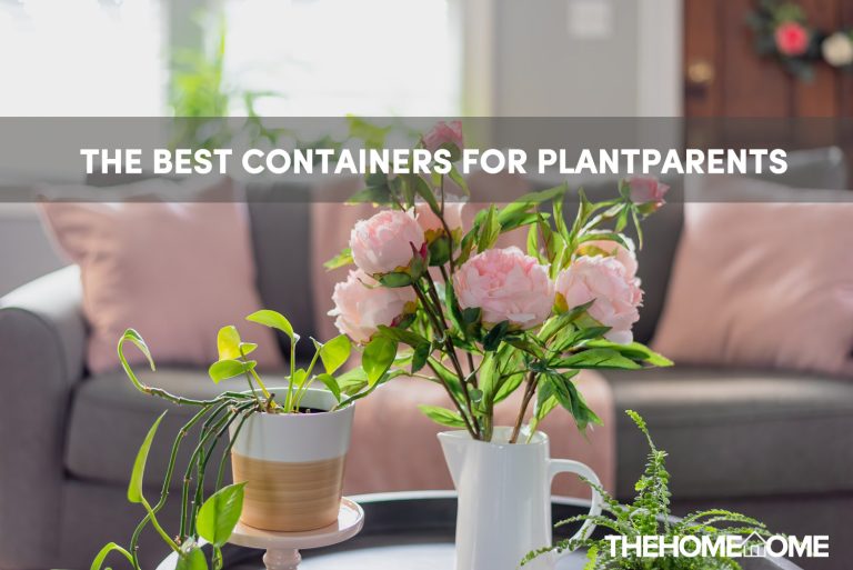 9 Pot Ideas For Houseplants | Containers For Plant Parents