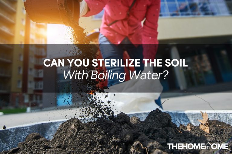 Can You Sterilize The Soil