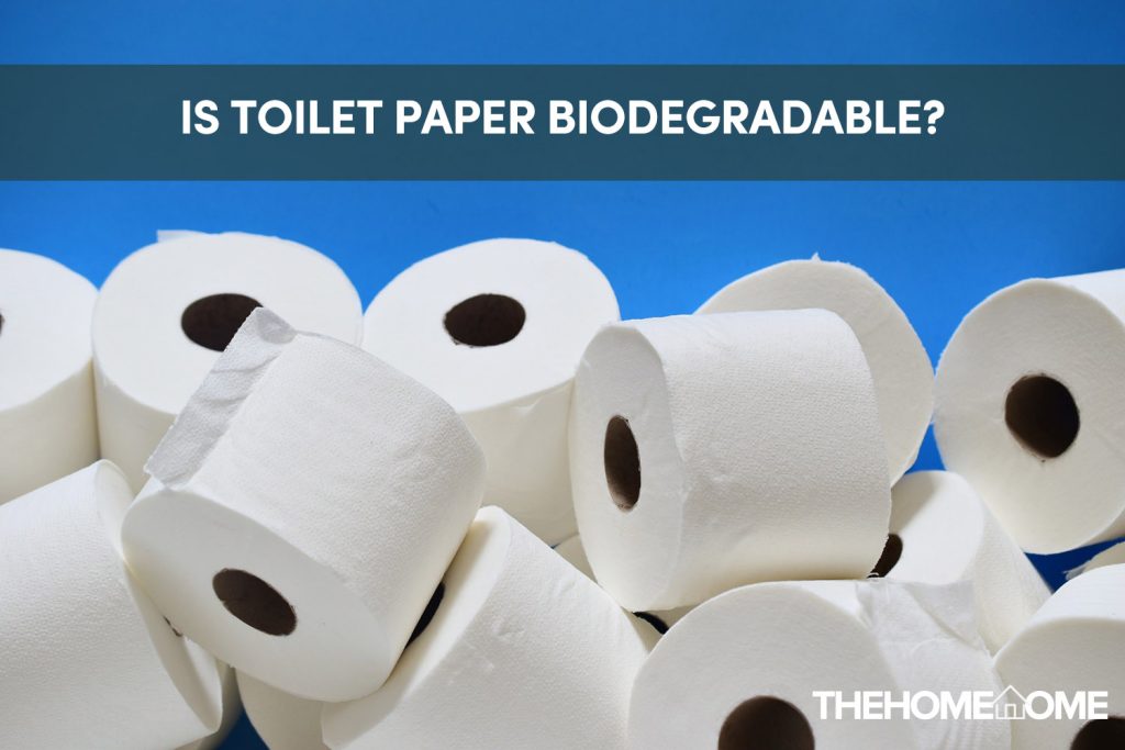 Is Toilet Paper Biodegradable?