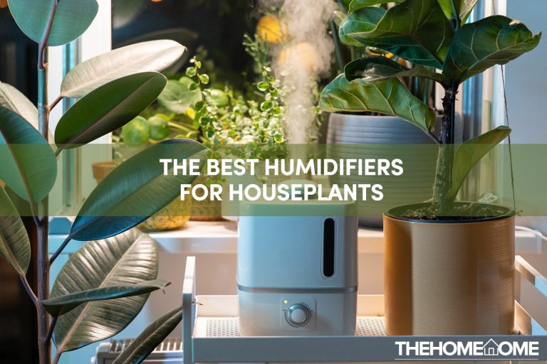 8 Humidifiers For Houseplants