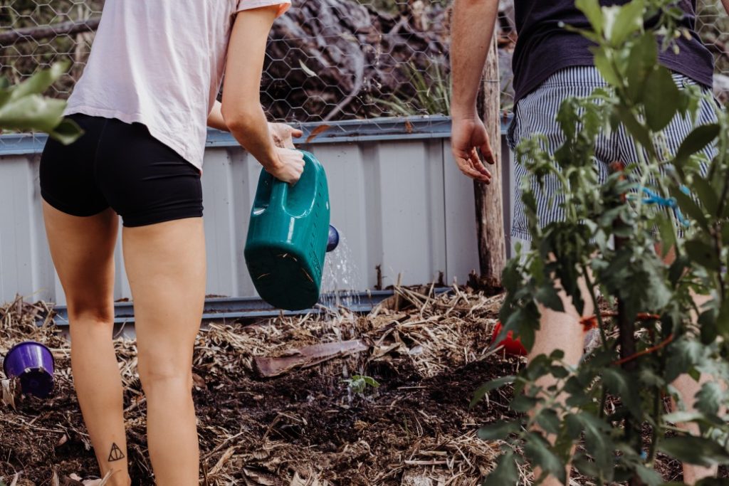 planting a chaos garden