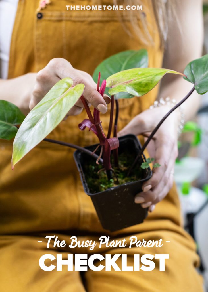 The Busy Plant Parent Checklist