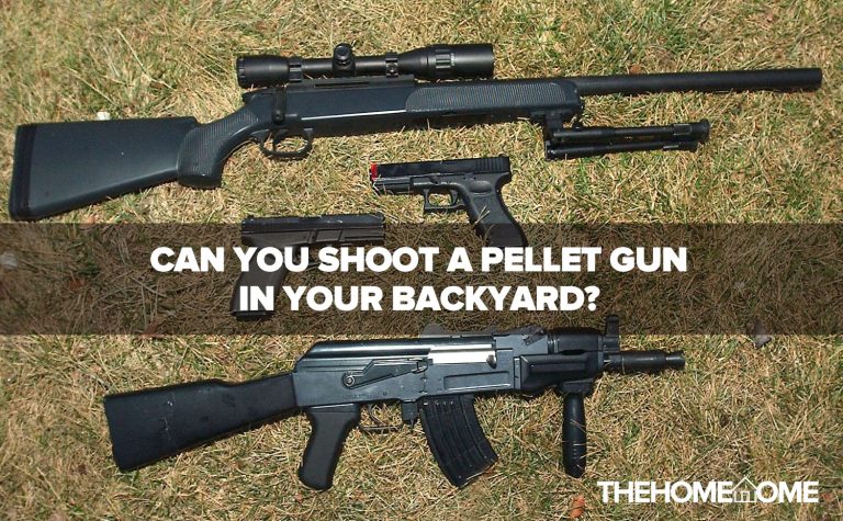 Can You Shoot A Pellet Gun In Your Backyard?