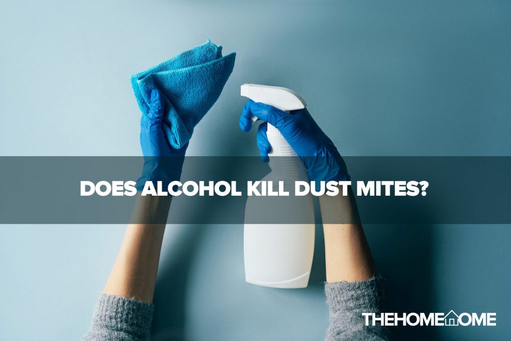 Does Alcohol Kill Dust Mites Updated
