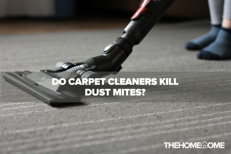 Does Carpet Cleaner Kill Dust Mites?
