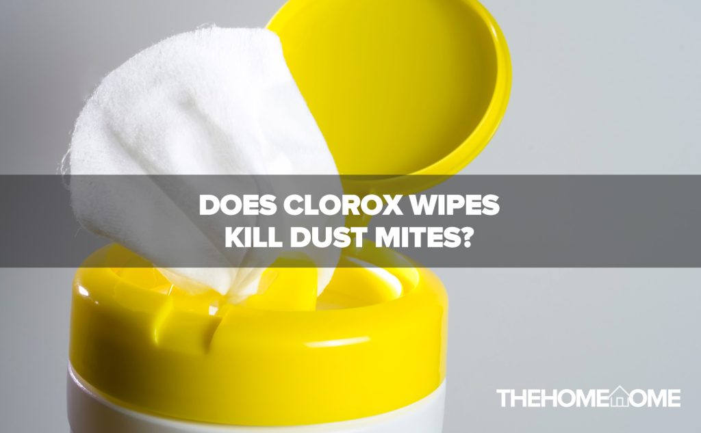 Does Clorox Wipes Kill Dust Mites?