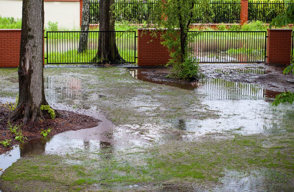 6 Ways to Stop Your Backyard From Flooding When It Rains