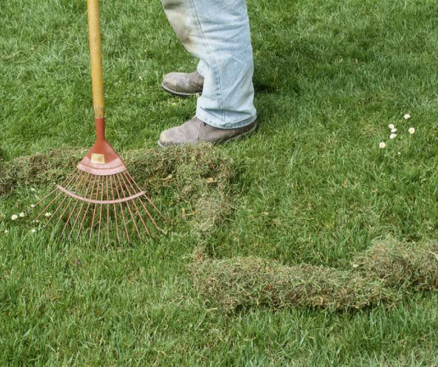 Pros Of Dethatching Lawns