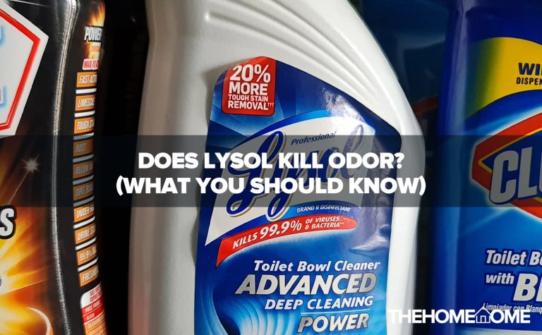 Does Lysol Kill Odor?