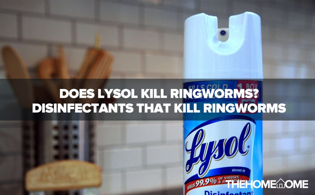 Does Lysol Kill Ringworms? (Disinfectants That Kill Ringworms)