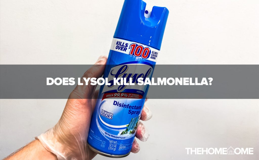 Does Lysol Kill Salmonella?