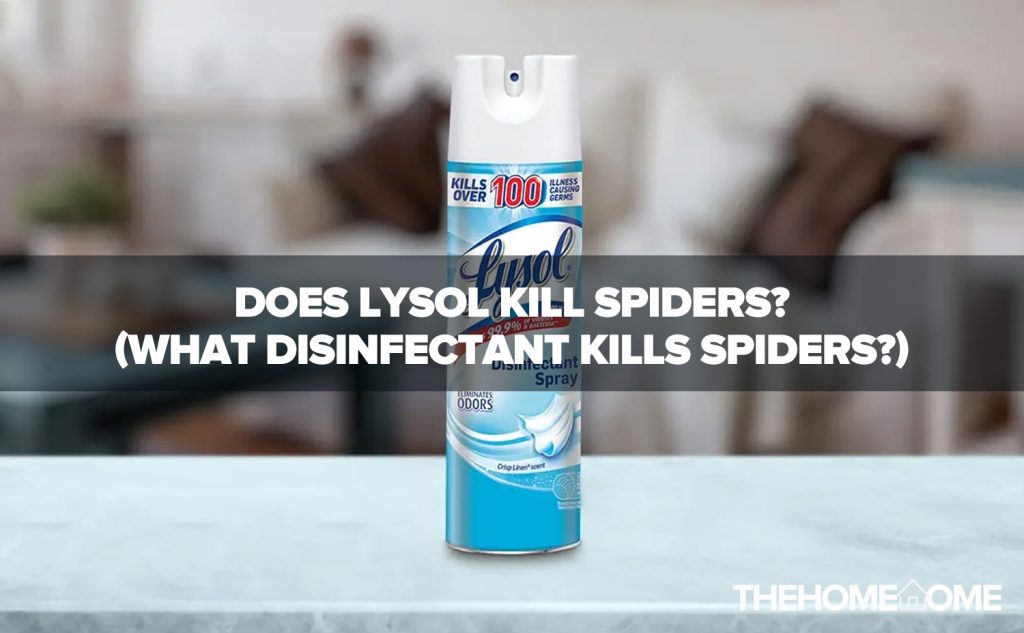 Does lysol kill spiders? (what disinfectant kills spiders? )