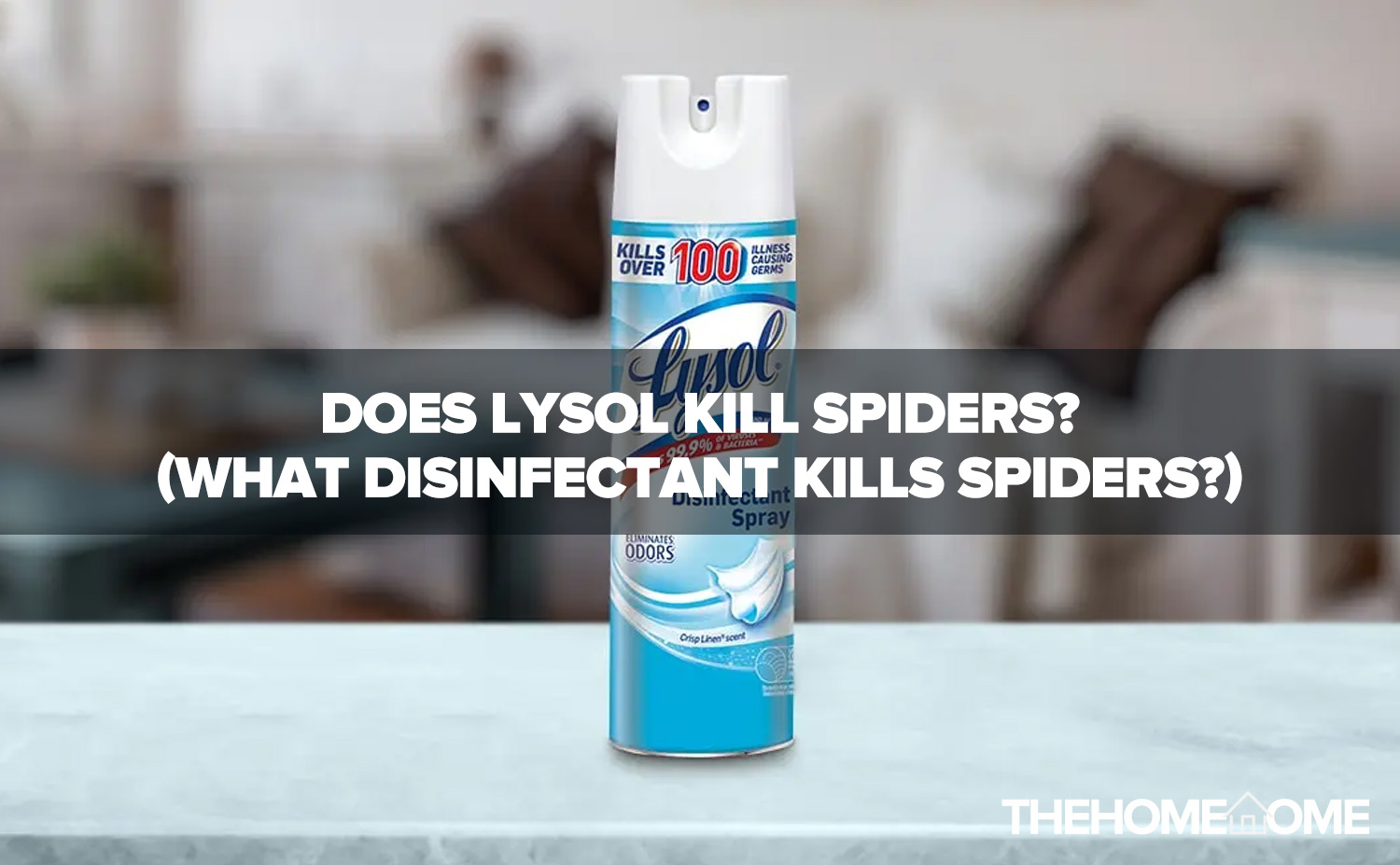Uncovering The Truth Does Lysol Kill All Parasites - 3g22hon