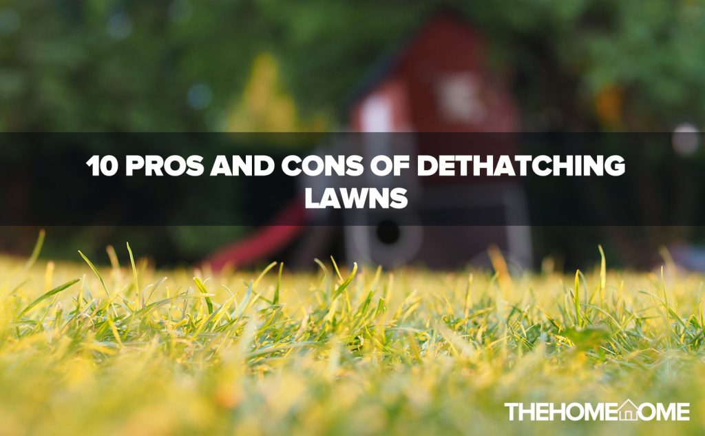 10 pros and cons of dethatching lawns